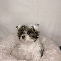 processed/d0e27dfc-28b6-4f05-8f3d-b19187231ffe/facility/909acc5a-6d73-4fd1-bffc-d2c80f86a8d2