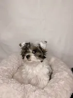 processed/d0e27dfc-28b6-4f05-8f3d-b19187231ffe/facility/909acc5a-6d73-4fd1-bffc-d2c80f86a8d2