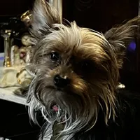 processed/d0f8dc31-b569-4a92-b29b-a27dee4d845c/facility/2481d61e-bc22-44b6-aff9-611829de8075