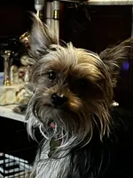 processed/d0f8dc31-b569-4a92-b29b-a27dee4d845c/facility/2481d61e-bc22-44b6-aff9-611829de8075