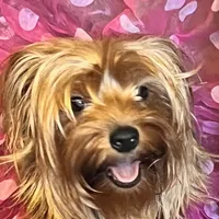 processed/d0f8dc31-b569-4a92-b29b-a27dee4d845c/facility/30a77b7c-6cb9-4395-9ddf-dad33890bea1