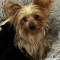 processed/d0f8dc31-b569-4a92-b29b-a27dee4d845c/facility/6d1170c4-84f2-4217-97ac-d3e4b907d20b