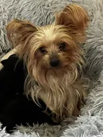 processed/d0f8dc31-b569-4a92-b29b-a27dee4d845c/facility/6d1170c4-84f2-4217-97ac-d3e4b907d20b