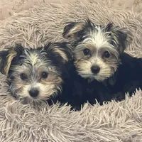 processed/d0f8dc31-b569-4a92-b29b-a27dee4d845c/facility/8318124d-be97-440c-b126-230be2a623e2