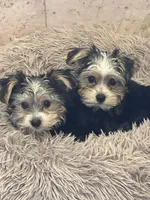 processed/d0f8dc31-b569-4a92-b29b-a27dee4d845c/facility/8318124d-be97-440c-b126-230be2a623e2