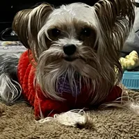 processed/d0f8dc31-b569-4a92-b29b-a27dee4d845c/facility/8839815b-c75e-48ac-8d1d-1be43ce1f77b