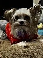 processed/d0f8dc31-b569-4a92-b29b-a27dee4d845c/facility/8839815b-c75e-48ac-8d1d-1be43ce1f77b