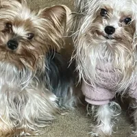 processed/d0f8dc31-b569-4a92-b29b-a27dee4d845c/facility/993a8464-f4aa-4733-b5f2-2df2f6a9544b