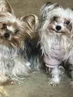 processed/d0f8dc31-b569-4a92-b29b-a27dee4d845c/facility/993a8464-f4aa-4733-b5f2-2df2f6a9544b