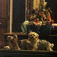 processed/d0f8dc31-b569-4a92-b29b-a27dee4d845c/facility/ba5f2354-e9db-4e21-a687-175ef1a7b122