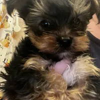 processed/d0f8dc31-b569-4a92-b29b-a27dee4d845c/facility/ecd2f5a1-80ff-44e2-9b5c-a220bc02fe3e