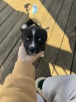 processed/d0fd15d6-1d86-409c-97e9-78fc6c53bfce/listing/df44e95d-e322-4a05-b27c-932e4349a68f/196d03e3-a554-4ac7-a257-b0431716769c