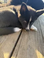 processed/d0fd15d6-1d86-409c-97e9-78fc6c53bfce/listing/df44e95d-e322-4a05-b27c-932e4349a68f/245a795e-7d9c-4e3d-8827-0c78ba2ef71f