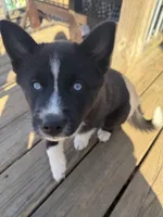 processed/d0fd15d6-1d86-409c-97e9-78fc6c53bfce/listing/df44e95d-e322-4a05-b27c-932e4349a68f/36541fdc-92f9-491f-8cf0-eed53fb50dad