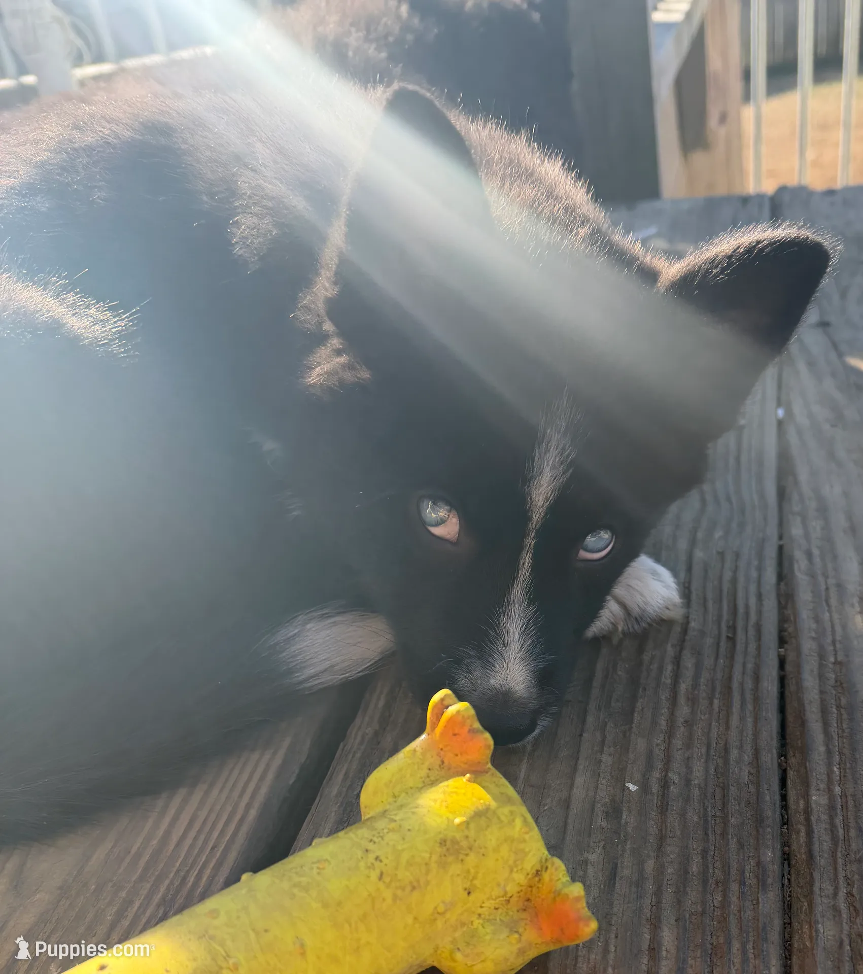 processed/d0fd15d6-1d86-409c-97e9-78fc6c53bfce/listing/df44e95d-e322-4a05-b27c-932e4349a68f/4b392910-3a5b-4159-bf32-32f5db64cc88