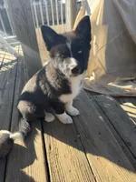 processed/d0fd15d6-1d86-409c-97e9-78fc6c53bfce/listing/df44e95d-e322-4a05-b27c-932e4349a68f/fe4b6fd1-a4f0-474d-b277-bdabaf5bd1cd