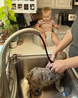 processed/d0fd57df-7a71-4916-a131-1d5b3b970dce/facility/1ea3f0ca-7206-43aa-8ab0-42a8ba372094