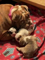 processed/d0fd57df-7a71-4916-a131-1d5b3b970dce/facility/263389a4-8e1b-470b-b99d-38680b0f1cd4