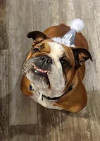 processed/d0fd57df-7a71-4916-a131-1d5b3b970dce/facility/3bfc244c-412b-4eac-b38d-e8b4427a24e7