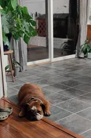 processed/d0fd57df-7a71-4916-a131-1d5b3b970dce/facility/8900131a-a479-4488-a246-76b47ab19b31