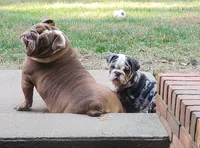 processed/d0fd57df-7a71-4916-a131-1d5b3b970dce/facility/b5f48f6a-50ca-473d-9356-ac12d33de982