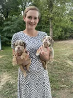 processed/d0fd57df-7a71-4916-a131-1d5b3b970dce/facility/b68bfb12-8f51-4a71-8ca2-a3eddbb55d86