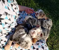 processed/d0fd57df-7a71-4916-a131-1d5b3b970dce/facility/c00d8979-cd27-44a6-a5cf-c597ffbd61a1