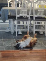 processed/d0fd57df-7a71-4916-a131-1d5b3b970dce/facility/edcbcad3-9d41-4442-9725-cf89811345f4