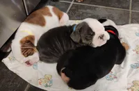 processed/d0fd57df-7a71-4916-a131-1d5b3b970dce/facility/fbeeca67-eff6-4b83-bf55-b889825adf6c