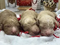 processed/d10d256b-b0a6-437b-ae06-f8aa75a39102/listing/10646e22-13ea-4d90-bfc2-8881160df3b4/eccd79df-d1bd-49f3-a0ef-ca7d33cfc05f