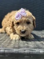 Photo of Sallie