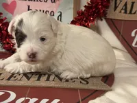 processed/d12a1a8d-b745-43d5-b083-d679c6b82a19/listing/397913a5-e18e-4256-b5d2-e915ae625c74/0a7eb099-570a-4d0b-9a13-68e0ab854ffc