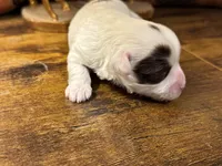 processed/d12a1a8d-b745-43d5-b083-d679c6b82a19/listing/397913a5-e18e-4256-b5d2-e915ae625c74/0cb27c0c-3a51-40b5-bed5-6be229a8afab