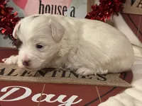 processed/d12a1a8d-b745-43d5-b083-d679c6b82a19/listing/397913a5-e18e-4256-b5d2-e915ae625c74/3698cdfa-12bc-46a3-ae55-9e35adb7b113