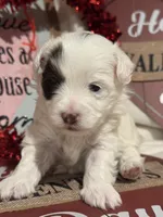 processed/d12a1a8d-b745-43d5-b083-d679c6b82a19/listing/397913a5-e18e-4256-b5d2-e915ae625c74/6128a29e-52ad-4aa1-b2a0-5b3fac5170cb