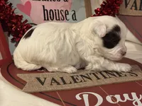 processed/d12a1a8d-b745-43d5-b083-d679c6b82a19/listing/397913a5-e18e-4256-b5d2-e915ae625c74/81cac4a5-9107-490b-aa92-c184661e9039