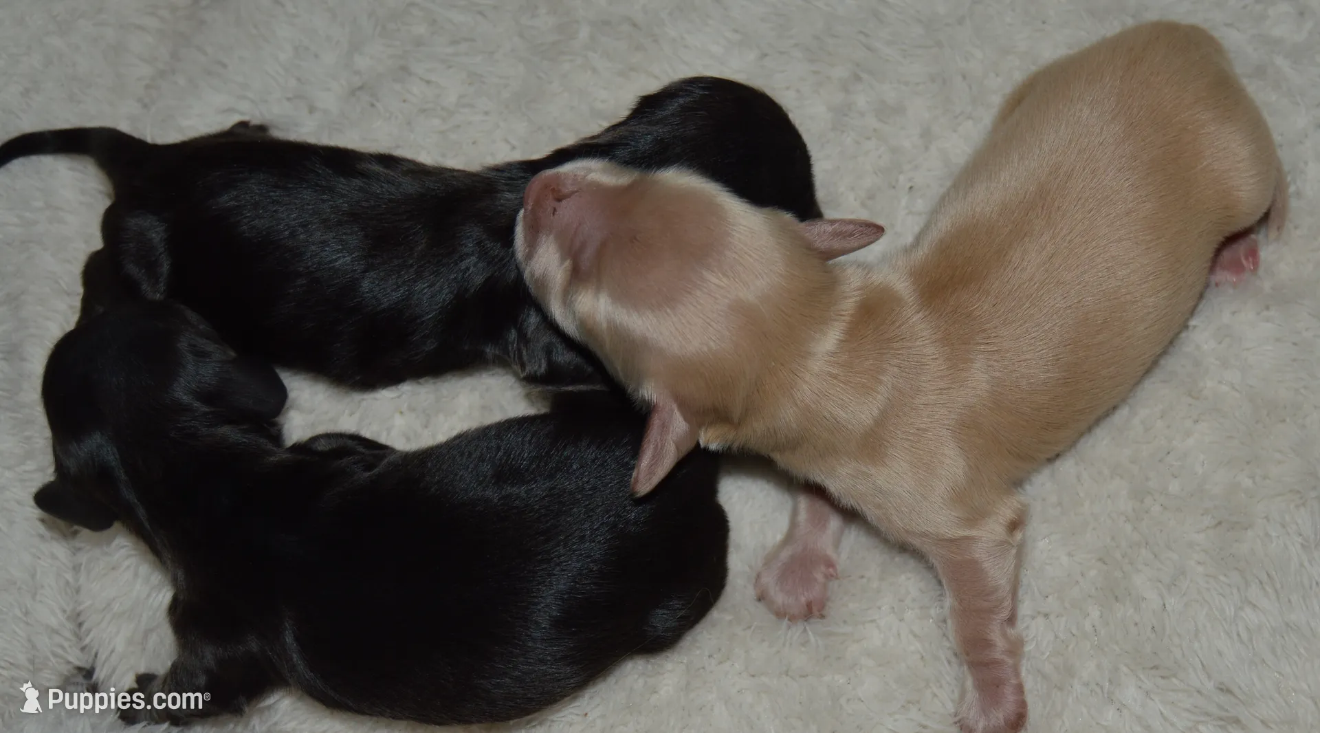 processed/d13056d1-864b-4b6f-a081-d1488ae88a0a/listing/cb1be68b-de8b-48eb-8243-4863de2b6738/92d76b46-f2c7-44b9-b506-9a71c4ca00d8