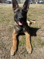 processed/d1373903-23b8-44be-b266-061385ffe91b/facility/105ea2d8-e811-4cc8-bed2-338d10e9d7bc