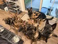 processed/d1373903-23b8-44be-b266-061385ffe91b/facility/8623717c-e8cf-4c50-a200-cd3f6dac4fa6