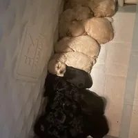 processed/d13c7b6f-fcac-403e-adb4-146118f1818a/facility/01a81ad3-844a-49e1-85c3-e1d4e3c9b6b9