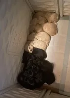 processed/d13c7b6f-fcac-403e-adb4-146118f1818a/facility/01a81ad3-844a-49e1-85c3-e1d4e3c9b6b9