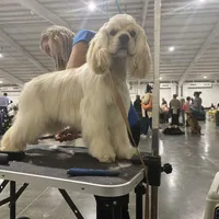 processed/d13c7b6f-fcac-403e-adb4-146118f1818a/facility/12f25ddf-660a-41a9-9ac4-64af389a893f