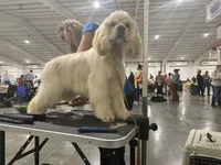 processed/d13c7b6f-fcac-403e-adb4-146118f1818a/facility/12f25ddf-660a-41a9-9ac4-64af389a893f