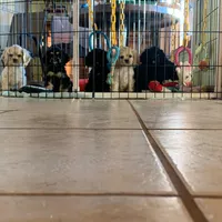 processed/d13c7b6f-fcac-403e-adb4-146118f1818a/facility/33504399-a25f-4311-8c4d-bbdaa616e9c6