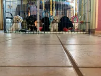 processed/d13c7b6f-fcac-403e-adb4-146118f1818a/facility/33504399-a25f-4311-8c4d-bbdaa616e9c6