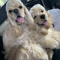 processed/d13c7b6f-fcac-403e-adb4-146118f1818a/facility/5afbe31d-d125-4faf-b412-64f3204522bb