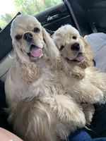 processed/d13c7b6f-fcac-403e-adb4-146118f1818a/facility/5afbe31d-d125-4faf-b412-64f3204522bb