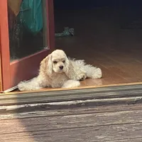 processed/d13c7b6f-fcac-403e-adb4-146118f1818a/facility/9881bd07-c7d0-4e82-ab8a-e00128b5df06