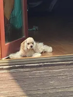 processed/d13c7b6f-fcac-403e-adb4-146118f1818a/facility/9881bd07-c7d0-4e82-ab8a-e00128b5df06