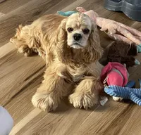 processed/d13c7b6f-fcac-403e-adb4-146118f1818a/facility/d9749359-499f-47e9-beda-481587b1f62b